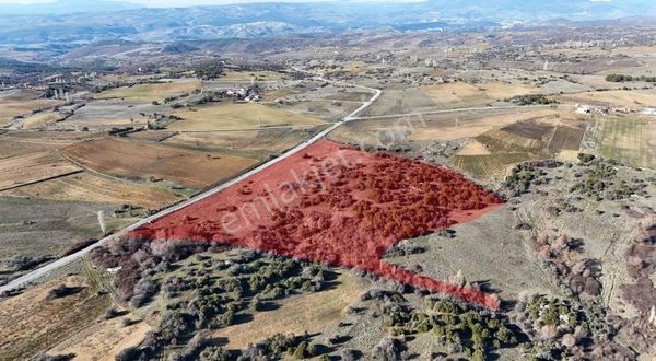 Köprübaşı Asfaltına Cepheli Marjinal Yatırımlara Uygun 55 Dönüm