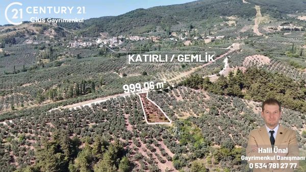 C21 Cius; Katırlı 999 M² Yola Cephe Satılık Zeytinlik