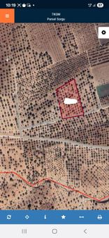 Nizip Yukarıbayındır Köyü Mahsullü Full Fıstıklık