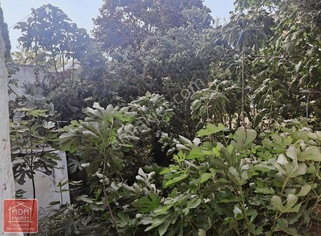 Kuşadası Davutlar Sahile 500mt Tercihli Kullanımlı Müstakil Tapu