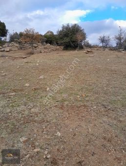 Manisa Alaşehir Karacalar`da Satılık Kelepir Tarla