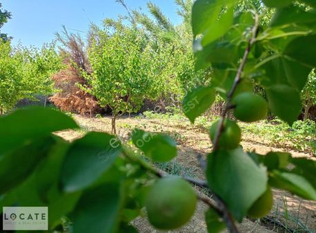 Locate'den Satılık İzmir Menderes Ataköy'de 5 Dönüm Çiftlik