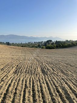 Kuşadası Yaylaköyde 54.000 M2 Arazi