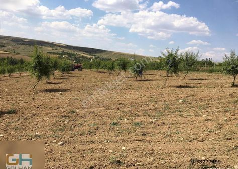 Karaali Mahallesinde Tek Tapu Yatırımlık Tarla
