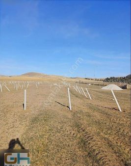 Aselsan Arkasında Kaçırılmaz Doğal Yaşam Alanları