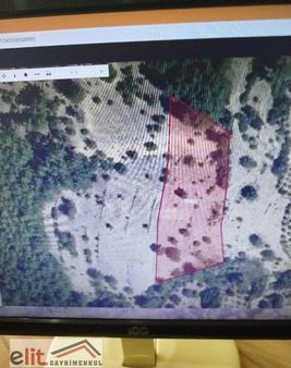 Elit Gayrimenkul Den Finike Dagbağ Da Satılık 5donum Tarla Kelepir 1650turklirası
