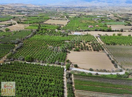 Antika'dan Bademli'de Satılık Müstakil Ev Ve İncir Bahçesi