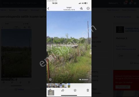 Manavgat Yavrudoğanda Acilen Satılık