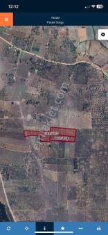 Akhisar Sakarkaya'da 25.340 M2 Satılık Zeytinlik