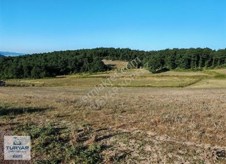 Turyap Körfezden Körfez Kalburcu Köyünde Satılık 6200 M2 Tarla