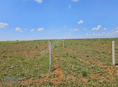 Vize Dogancada 314 M2 Kadastro Yoluna Cephe Hisseli Parseller