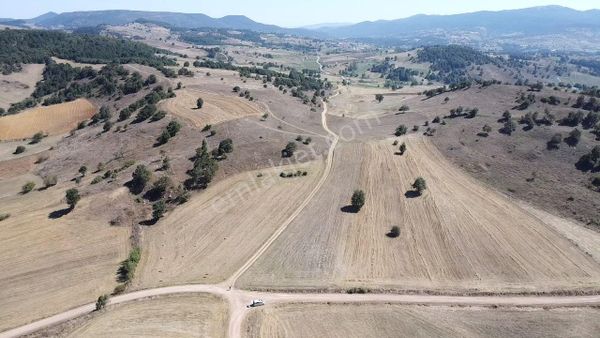 Balıkesir Sındırgı Işıklar' Da Satılık Tarla 6554 M2