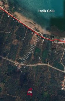 Orhangazi Paşapınarda Yatırıma Ve Hobi Bahçesine Uygun Zeytinlik