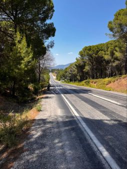 Ayvalık Yoluna Sıfır Konum Müstakil Tapulu 2400 Metrekare Çamlık