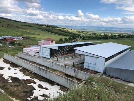 Bursa Yenisehir Çiftlik Ruhsatli Projeli