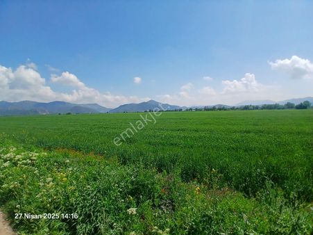 Burdur Bucak Kızılcaağaçta Satılık Tarla