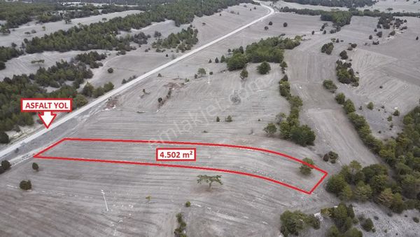 Kütahya Aslanapa Çamırdık' Da 4502 M2 Satılık Tarla