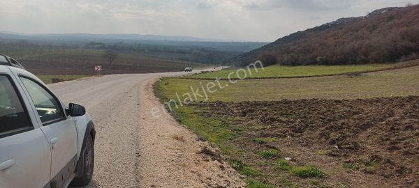 Bursa/yenişehir Karaamca Tarla Asfalt Cepheli