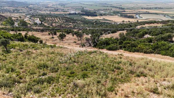 Didim Akyeniköy Mahallesi Bozseki Mevkii'nde Satılık Konut İmarlı Arsa