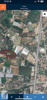 Seferihisar Ulamış'ta Ana Caddeye Yakın 18 Dönüm Kiralık Tarla