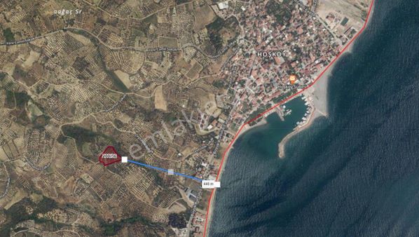 Hoşköy Şarköy’de Deniz Manzaralı Satılık Zeytinlik – Ayça Emlak’tan