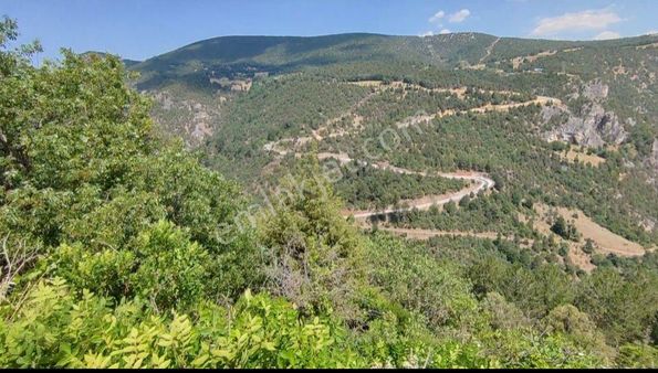 Bursa Keles Gelemiçte Asfalt Yola Cephe, Vadi Manzaralı Satılık