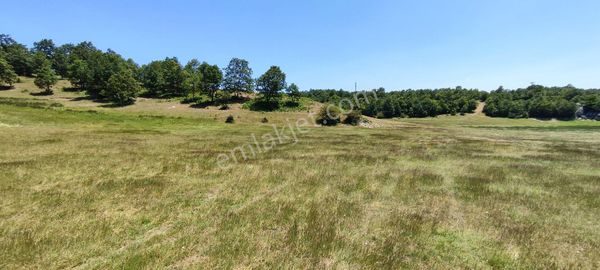 🌿 Bursa Orhaneli Ortaköy'de Satılık 2.186 M² Müstakil Tarla – Yolu Ve Suyu Hazır!