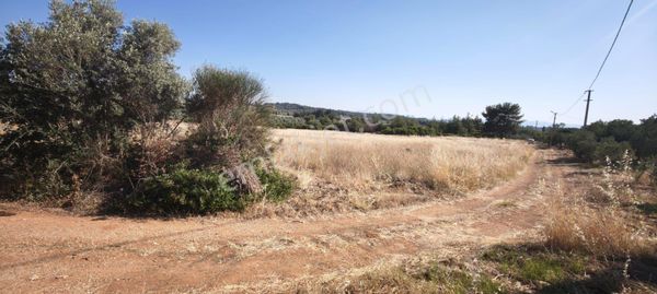 Torbalı Demirciler Köyünde Satılık Fırsat Tarla