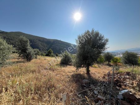 Esenköyde 1180m2 Satılık Tarla