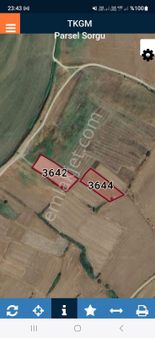 Mecidiyede Denize Yakın Satılık Fidanlik!!!