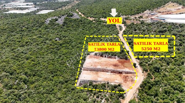 Oğuzlar Emlak’tan Demre Gürses Mah 19,000m2 Satılık Tarla