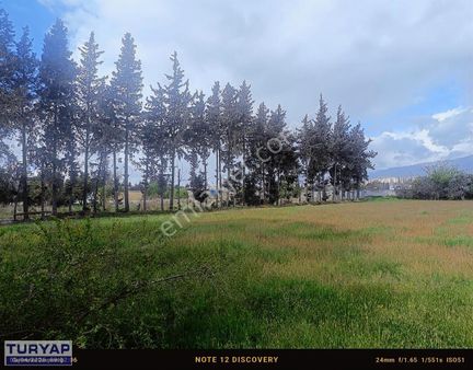 Antakya İskenderun Yolu Üzeri Kiralık Ticari Alan Parsel