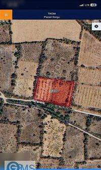 Isparta Senirkent Yassıören De Yola Parsel Meyve Bahçesi