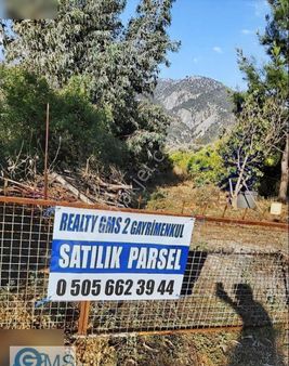 Köyceğiz Yangı Da Tek Tapu Satlık Naranciye Bahçesi