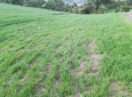 Yaylada Bu Fiyata Yer Yok