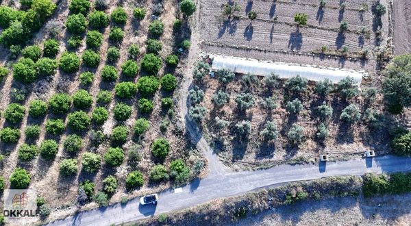 Okkalı Emlak Tan Menemen Görece Köyü Nde Satılık Bahçe