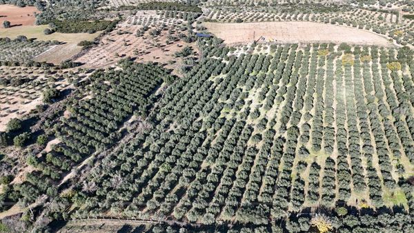 Elektrik Su Var Emsalsiz Tarla