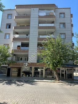 Haliliye Paşaşabagi Muhallesinde