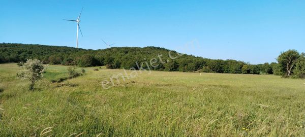 Asker Emlak'tan Unçukuru'da Satılık Tarla