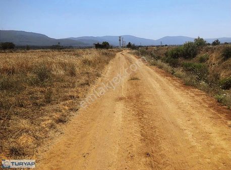 Bodrum Sazköy De Satılık 2300 M2 Tarla