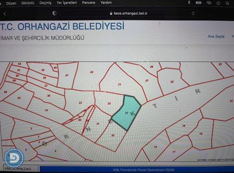 Dost Emlaktan Satılık Orhangazi Karsakta 2209m2 Zeytinlik
