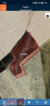 Toros Mahallesi İmara Aday 7316 Metrekare Tek Tapulu Tarlamız