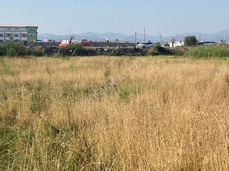 Koçarlıda Satılık Ticari İmarlı Arsa