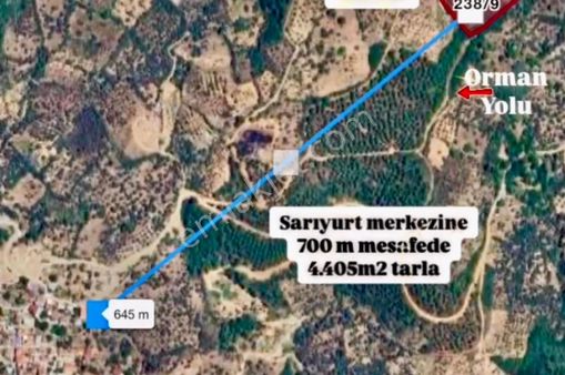 İzmir Bayındır Sarıyurt Mahallesi’nde 4405 M² Satılık Tarla!