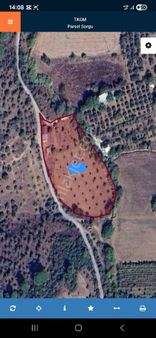 Torbalı Orman Köyde Tek Tapu 6624 M² Elektrik Su İçınde Olan Satılık Tarla