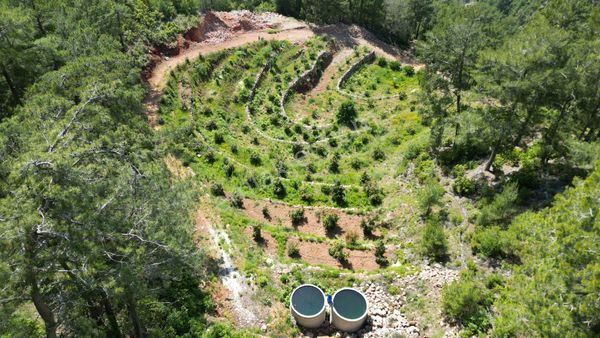 Alanya Obaalacamii De Satılık 12 Dönüm Kurulu Düzen Tarla