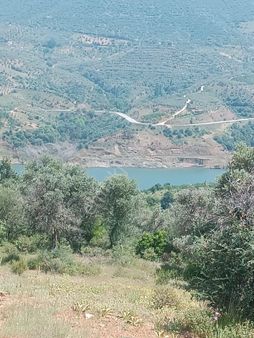 Doğa Gayrimenkul'den İzmir'de Kaçırılmayacak Baraj Manzaralı Zeytinlik