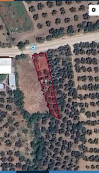 Ena Group Bursa Mudanya Akköy'de Asfalta Cephe Bursa Manzaralı 472 M2 Satılık Arsa