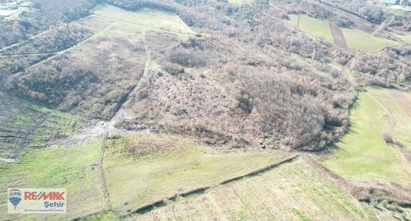 Remax Yalova'dan Merkez Kadıköy'de İmara Yakın Satılık Arazi