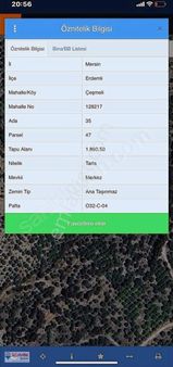 Re/max Şehir'den Mersin Erdemli'de Satılık Limon Bahçesi